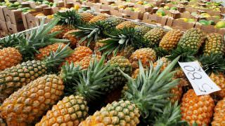 ADS adquire 80 mil abacaxis e beneficia produtores rurais de município