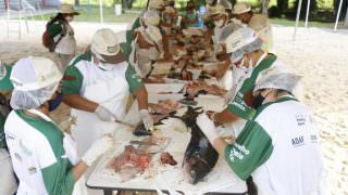 Expoagro: Cursos de piscicultura qualificam feirantes e produtores