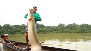 Amazonas ganhou três novos acordos de pesca ao longo de 2021