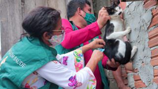 Centro de CCZ vacinará animais no feriado prolongado