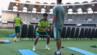 Palmeiras desembarca e já faz 1º treino com foco na estreia do Mundial
