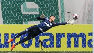 Campeão da Copinha pode virar terceiro goleiro do Palmeiras no Mundial