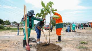 Prefeitura de Manaus doou mais de 47 mil mudas de plantas em 2021