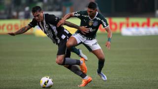 Palmeiras goleia Botafogo para assumir liderança do Brasileiro