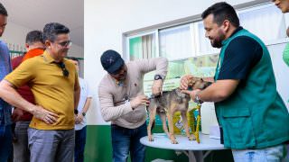 David Almeida anuncia início de Vacinação Antirrábica Animal