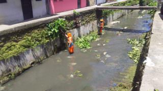 Prefeitura realiza ação de limpeza no igarapé de Petrópolis