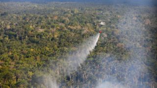 Governo do Amazonas intensifica combate às queimadas com apoio da Marinha