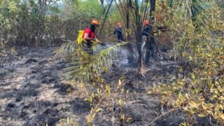 Corpo de Bombeiros combate incêndio em área de difícil acesso em Parintins