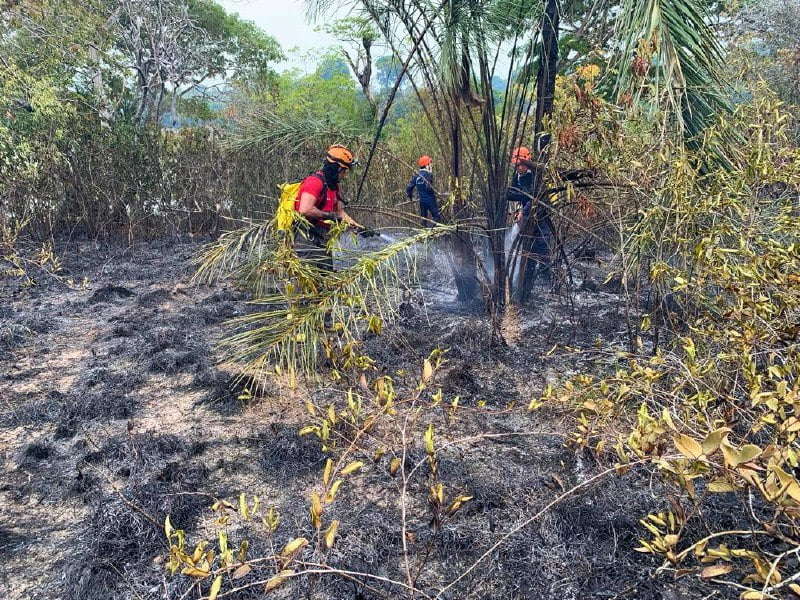 Corpo de Bombeiros combate incêndio em área de difícil acesso em Parintins