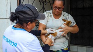 Vacinação antirrábica animal segue na zona urbana de Manaus