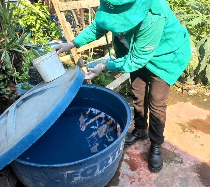 Nos últimos 30 dias, foram notificados 804 casos da doença (Foto: Divulgação FVS/RCP) Dengue: saúde divulga cenário da doença no Amazonas
