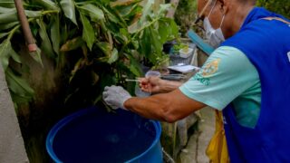 Manaus está em médio risco para doenças causadas pelo Aedes