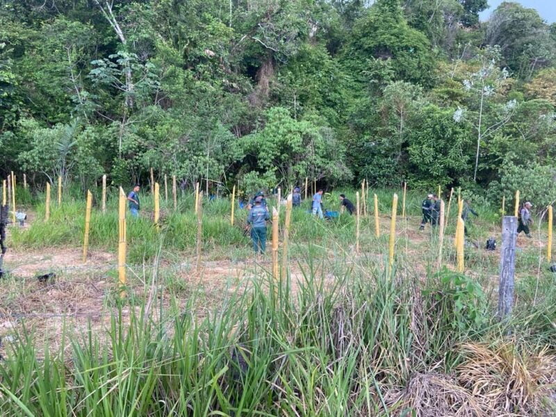 Prefeitura de Manaus recupera área verde degradada na zona Norte da cidade