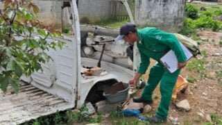 Dengue: Mais de 60% dos criadouros de mosquito Aedes aegypti poderiam ter sido evitados em vistorias semanais