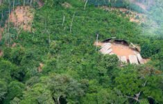 Especialista explica porque desmatamento visto por satélite nem sempre é irregular