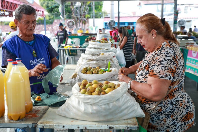 Governo garante apoio a produtores na boa safra do tucumã nas feiras de produtos regionais