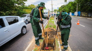 Prefeitura dá início ao plantio de 100 mudas em trecho da av. Mário Ypiranga Monteiro