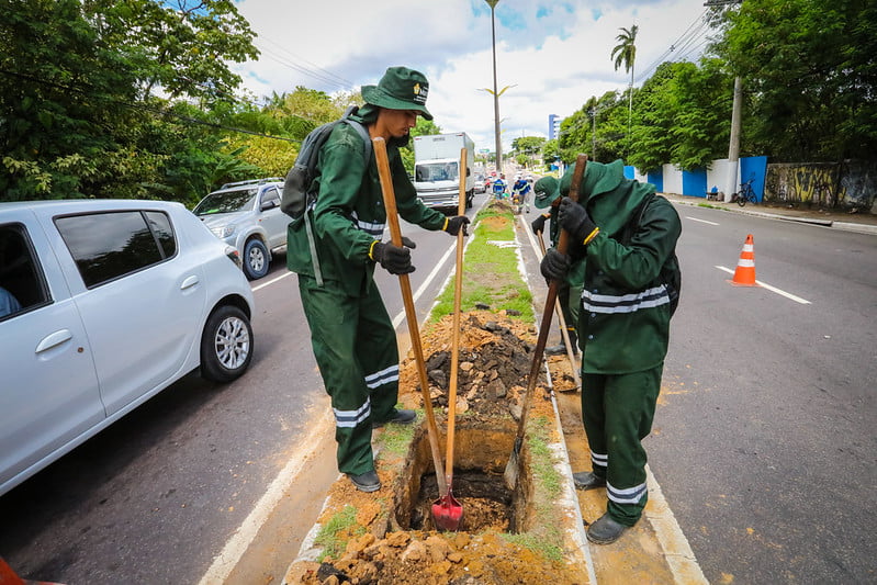 Prefeitura dá início ao plantio de 100 mudas em trecho da av. Mário Ypiranga Monteiro