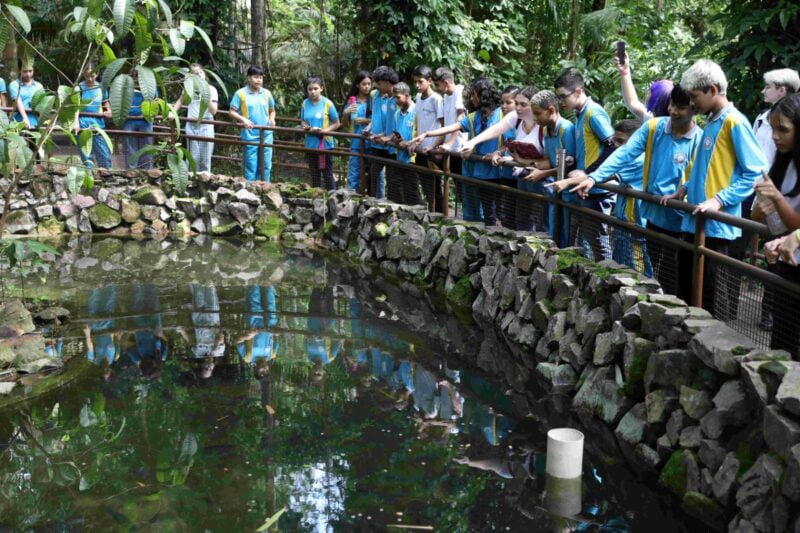 Alunos da Escola Estadual Adalberto Valle participam de imersão no Bosque da Ciência