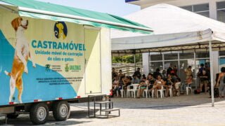Castramóvel volta a oferecer castrações solidárias em Manaus