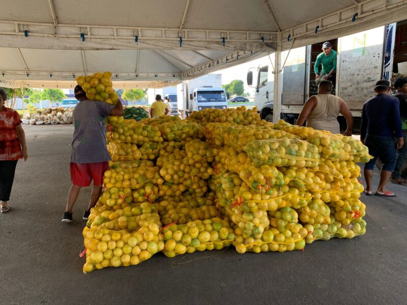 Cerca de 40 mil quilos de alimentos para entidades socioassistenciais de Manaus