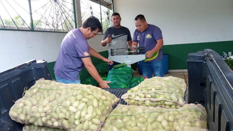 Em Novo Airão, Idam atua na logística de escoamento de 4,7 toneladas de alimentos