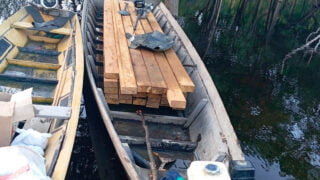 Homem é preso por extração ilegal de madeira em Barreirinha
