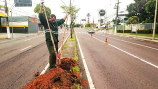 Avenida Djalma Batista recebe manutenção da arborização em Manaus