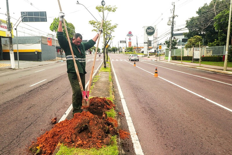 Avenida Djalma Batista recebe manutenção da arborização em Manaus