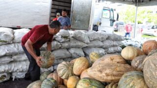 Governo do AM entrega mais de 35,6 toneladas de alimentos a instituições