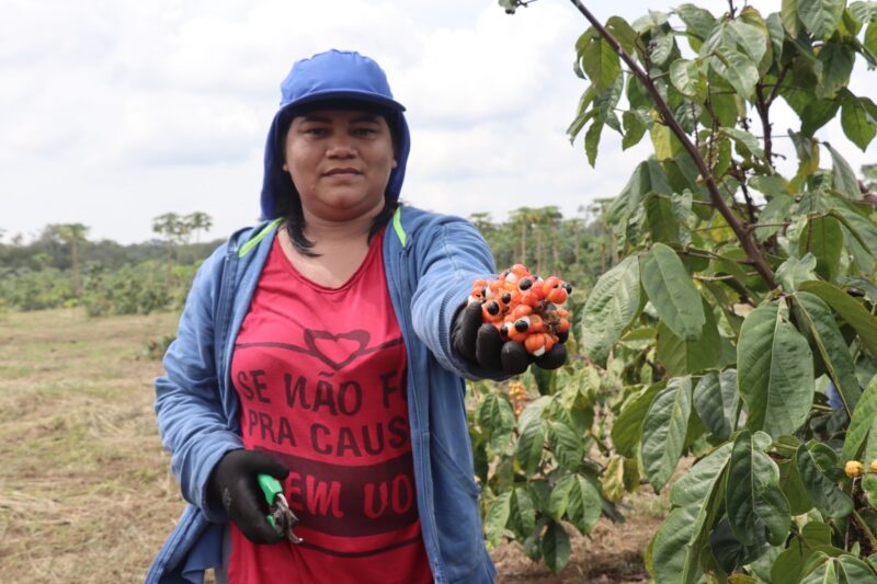 Idam destaca protagonismo de mais de 18 mil mulheres no setor primário amazonense