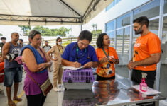 Em Manaus, mutirão de vacina antirrábica acontece neste sábado (27)