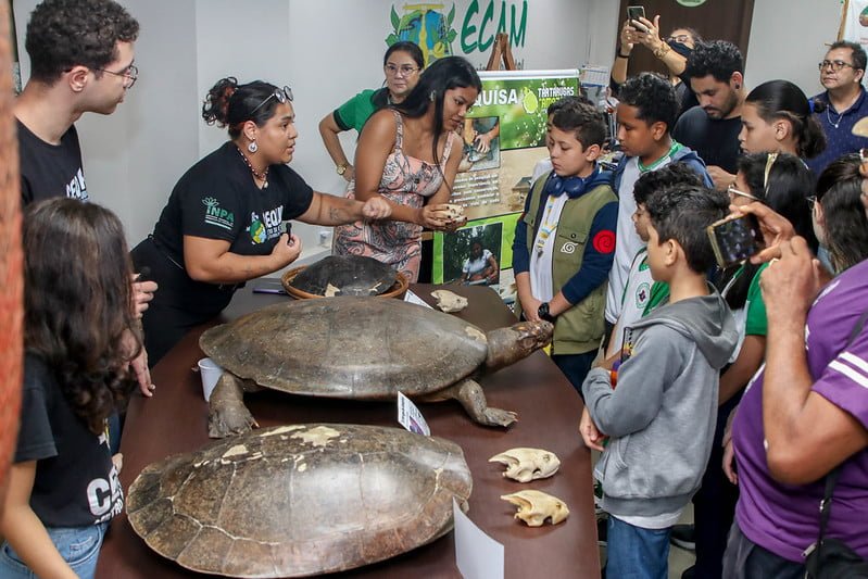 Estudantes da Escola Municipal Alfredo Linhares, participaram da abertura da exposição (Foto: Eliton Santos/Semed) Dia da Tartaruga é comemorado com exposição em espaço educacional da prefeitura