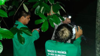 Vigilância em Saúde realiza controle de morcegos em Maraã