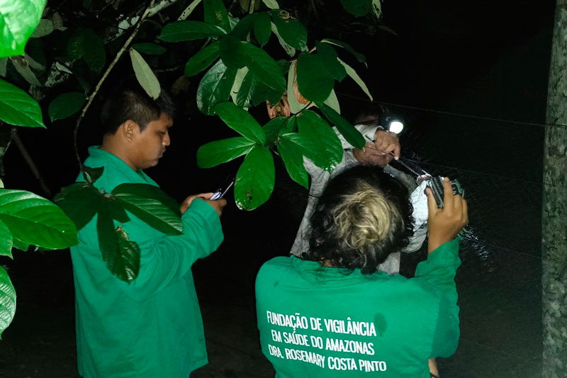 Vigilância em Saúde realiza controle de morcegos em Maraã