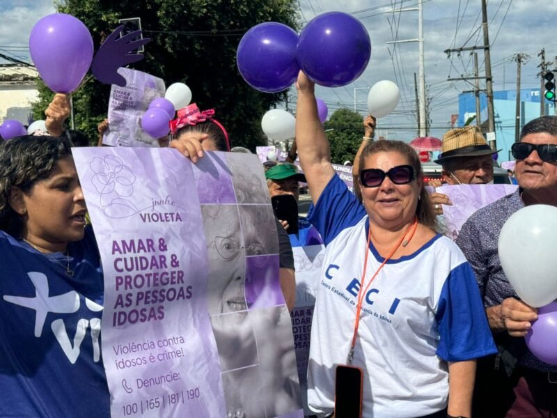 Manifestantes clamaram pela conscientização dos condutores no trânsito (Foto: Kerolyn Leigue/Seas) Idosos assistidos pelo Ceci saem às ruas para pedir respeito a faixa de pedestres