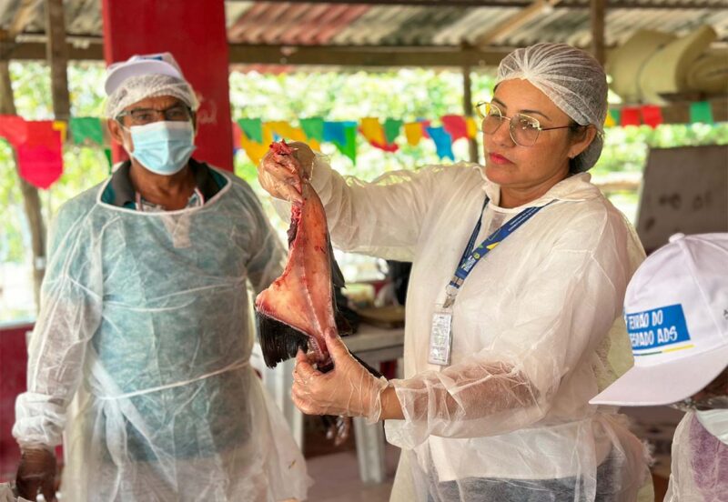 ADS qualifica produtores com curso de beneficiamento do pescado, na zona rural de Manaus