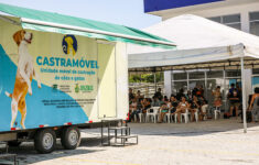 Castramóvel realiza ação itinerante no Shopping São José