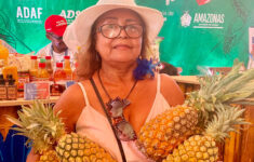 Festival de Parintins 2024: visitantes recebem abacaxis do Sepror