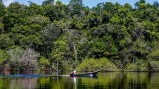 Hepatite Delta avança entre ribeirinhos no Amazonas