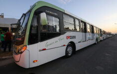 Prefeitura entrega 14 novos ônibus para atender 85 mil famílias no Viver Melhor