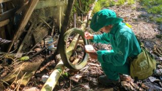 Saúde do Amazonas divulga informe epidemiológico de arboviroses