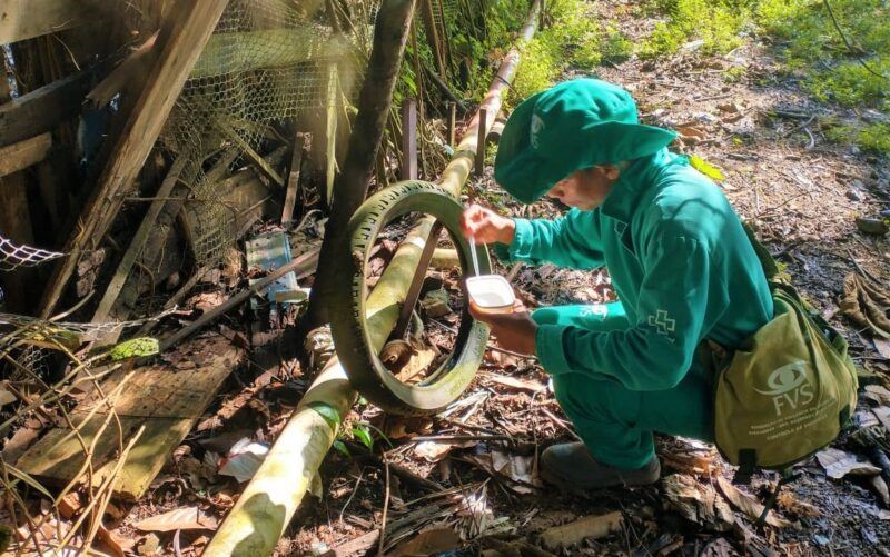 Saúde do Amazonas divulga informe epidemiológico de arboviroses