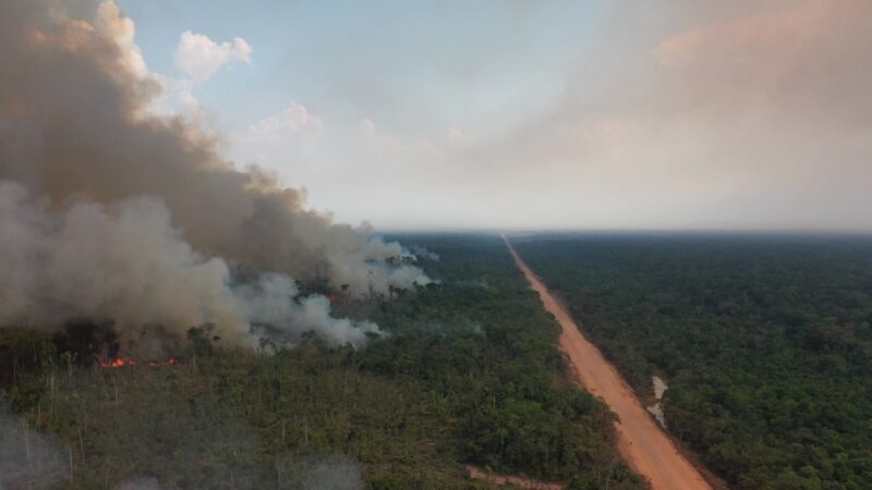 TCE-AM envia alerta aos 62 municípios para ajudar a combater queimadas e estiagem