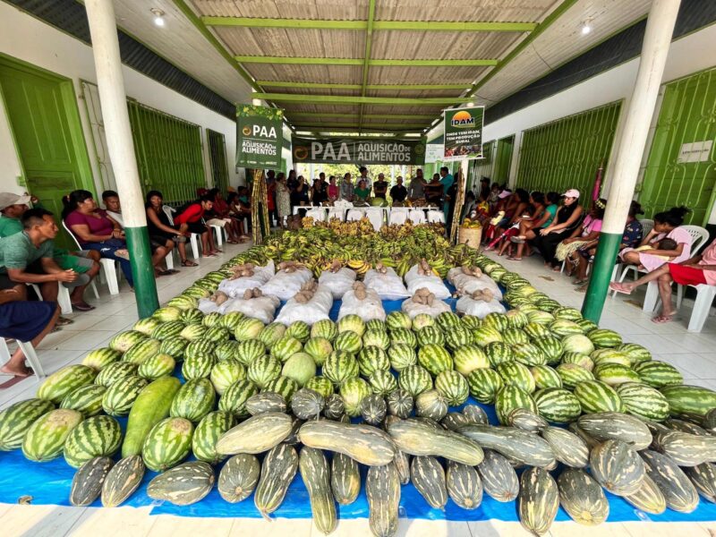 Amazonas investiu mais de R$ 400 mil na compra de alimentos da agricultura indígena