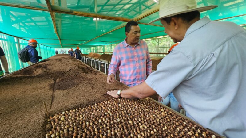 Idam abre inscrições para o ‘Dia de Campo da Castanha’