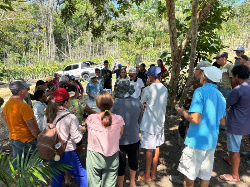 Sepror promove curso de biofertilizantes e compostos orgânicos no ramal do Pau Rosa