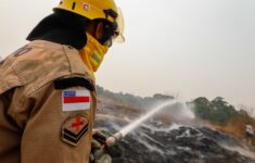 Amazonas divulga boletim sobre a estiagem no estado, nesta quinta-feira (12)