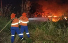 Brasil registrou 2,7 mil focos de incêndio nas últimas 24 horas