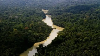 Dia da Amazônia: famílias criam modelo de negócio com restauração